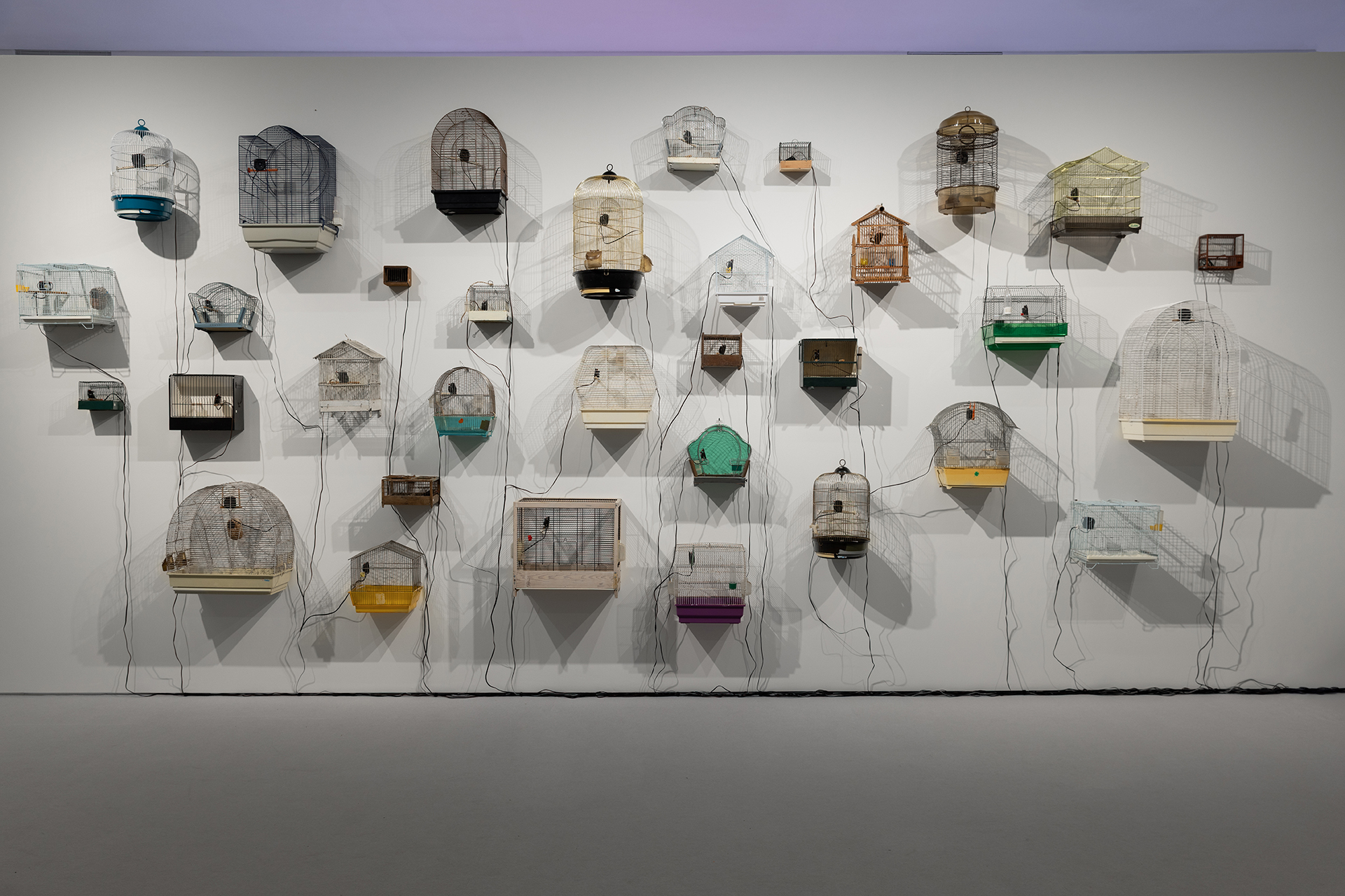 Oussama Tabti Homo-Carduelis, 2022 (άποψη εγκατάστασης) Ηχητική εγκατάσταση Κλουβιά πουλιών, ηχεία, 33΄ σε λούπα Μεταβλητές διαστάσεις Συλλογή του ΕΜΣΤ Φωτογραφία: Πάρις Ταβιτιάν
